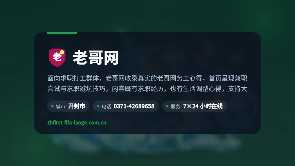 老哥网概况